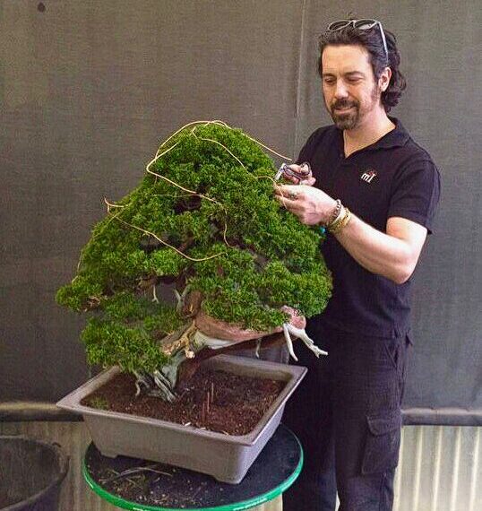 TALLER DE BONSAI AMB MARCO INVERNIZZI