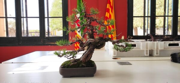 TALLER AMB XAVI GARCÍA EL 12 DE NOVEMBRE DEL 2022