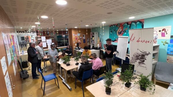 TALLER JUVENIL DE BONSAIS ORGANITZAT PER LA AJUNTAMENT DE LES FRANQUESES DEL VALLÈS