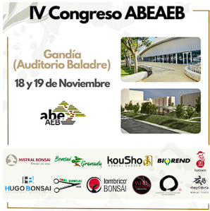 IV EDICIÓ DEL CONCURS DE BONSAIS ABEAEB