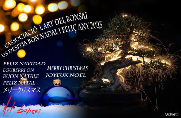 L’ART DEL BONSAI US DESITJA BONES FESTES
