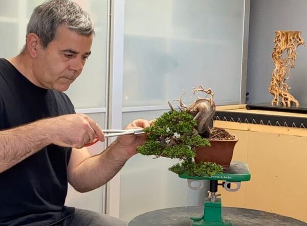 TALLER DE BONSAI AMB GABRIEL ROMERO