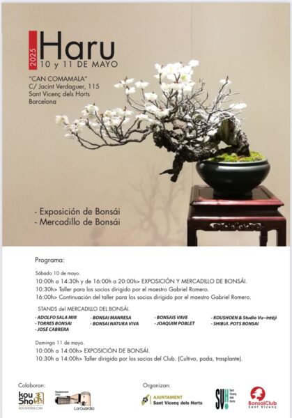HARU EXPOSICIÓ I MERCAT DE BONSAIS