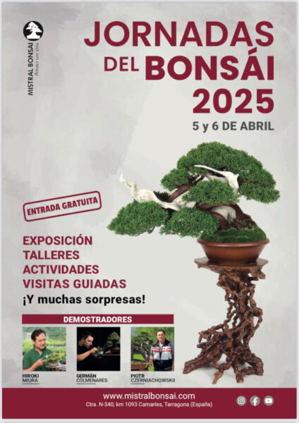 JORNADES DEL BONSAI 2025 AMB MISTRAL BONSAI