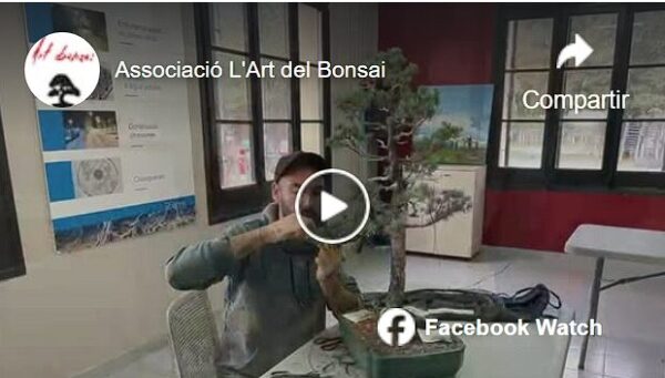 TROBADA DE SOCIS 23 D’OCTUBRE 2023