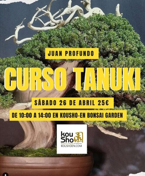 CURS DE TANUKI AMB JUAN PROFUNDO