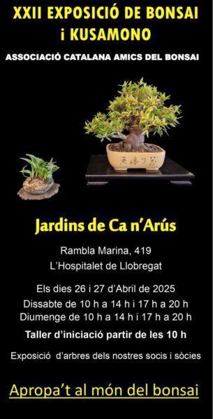 EXPOSICIÓ DE BONSAIS I KUSAMONO