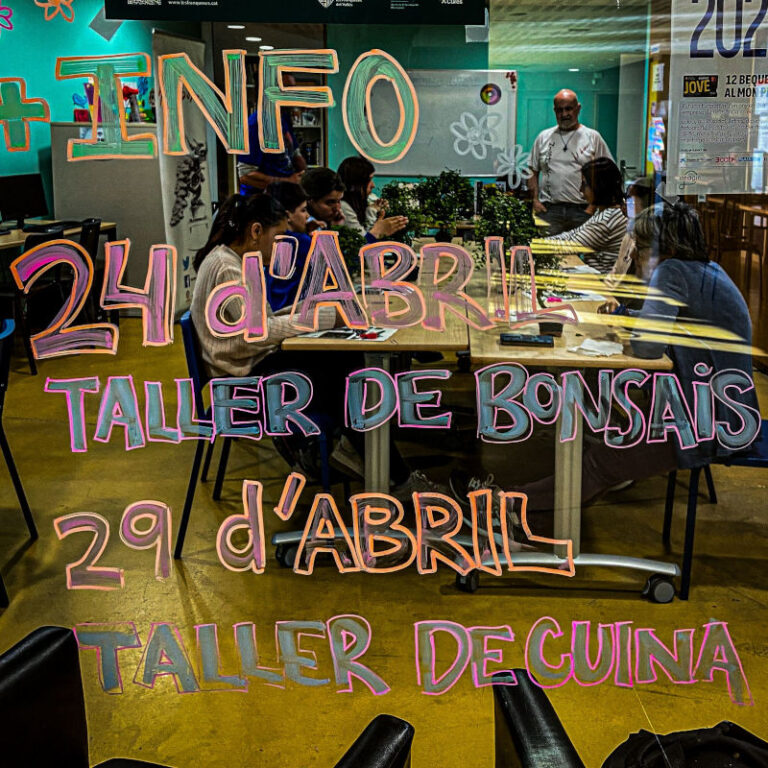 TALLER DE BONSAIS SPAI ZERO