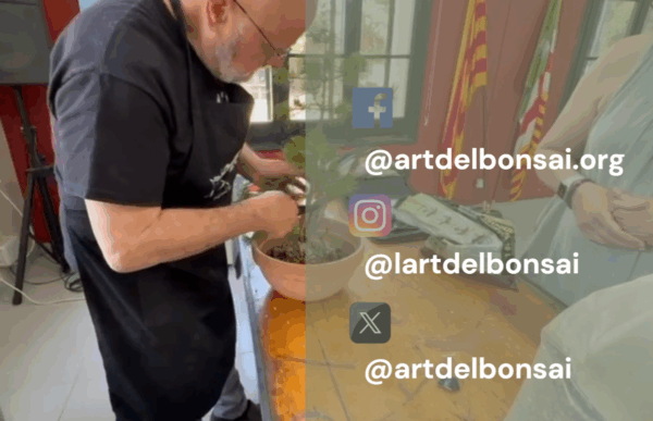 TROBADA SOCIS EL 22 DE JUNY DEL 2025