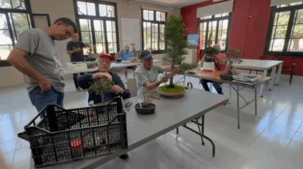 TROBADA SOCIS EL 7 DE JUNY DEL 2025