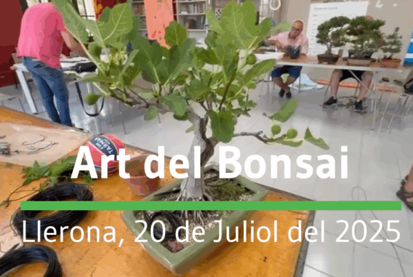 TROBADA SOCIS EL 20 DE JULIOL DEL 2025