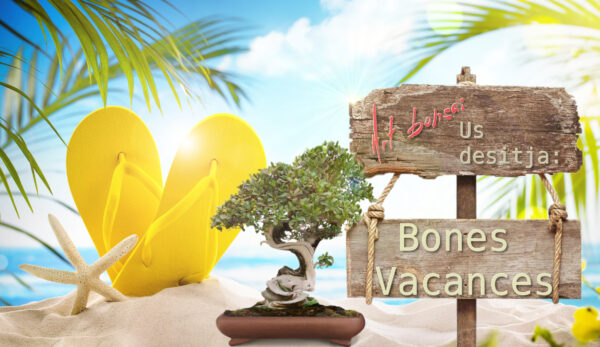 TROBADA DE SOCIS EL 6 DE SETEMBRE