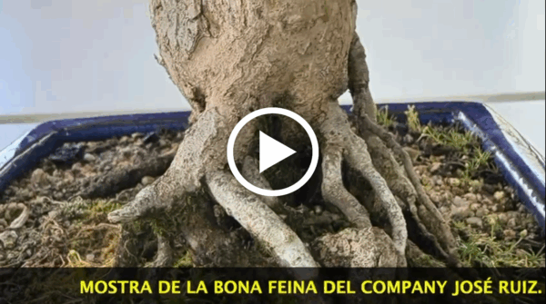 TROBADA SOCIS EL 5 D’OCTUBRE DEL 2025