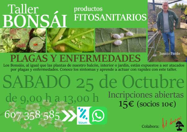 TALLER DE BONSAIS: FITOSANITARIS AMB JUANJO PARDO