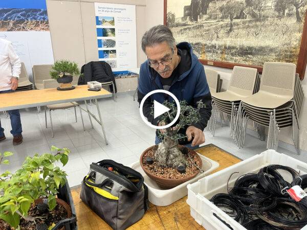 TROBADA SOCIS EL 8 DE NOVEMBRE DEL 2025