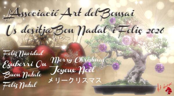 BONES FESTES I FELIÇ ANY NOU