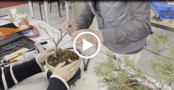 TROBADA SOCIS EL 8 DE MARÇ DEL 2026