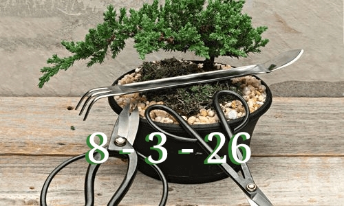 TROBADA SOCIS EL 8 DE MARÇ DEL 2026